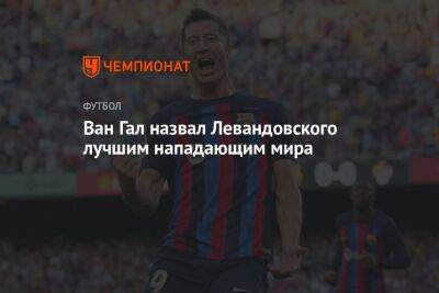 Роберт Левандовский - Луи Ван-Гал - Ван Гал назвал Левандовского лучшим нападающим мира - championat.com - Бельгия - Германия - Польша - Испания - Голландия