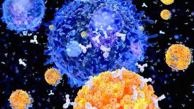 Нову генну терапію, засновану на клітинних антитілах, збираються випробувати на людях - hubs.ua - США - Украина - штат Вашингтон