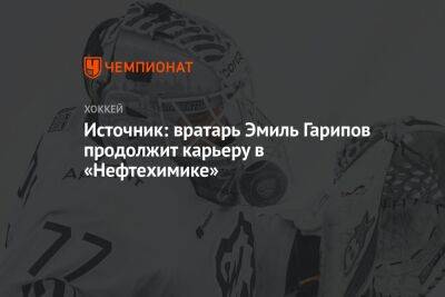 Эмиль Гарипов - Источник: вратарь Эмиль Гарипов продолжит карьеру в «Нефтехимике» - championat.com - Челябинск