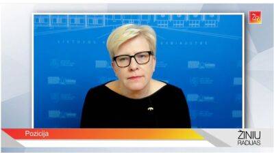 Ингрида Шимоните - Премьер Литвы: компании, испытывающие экономтрудности, могут отложить уплату налогов (СМИ) - obzor.lt - Литва
