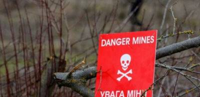 Ніяких грибів. На Київщині до лісу заборонено ходити як мінімум рік: у чому небезпека - thepage.ua - США - Україна