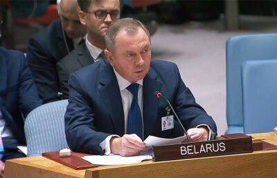Владимир Макей - Совета Безопасности - Макей изложил позицию Беларуси на заседании Совета Безопасности ООН по ситуации на Украине - ont.by - Украина - Белоруссия