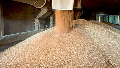 В Таджикистане собрано более 800 тыс. тонн зерновых и 300 тыс. тонн картофеля - dialog.tj - Душанбе - Таджикистан