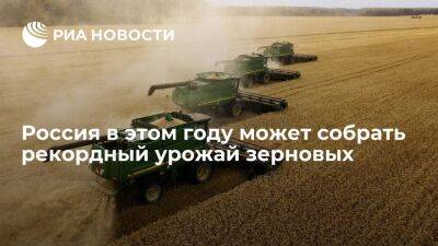 Владимир Путин - Виктория Абрамченко - Викторий Абрамченко - Вице-премьер Абрамченко: валовый сбор зерна в России может достигнуть 142 миллионов тон - smartmoney.one - Россия