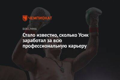 Деонтей Уайлдер - Александр Усик - Энтони Джошуа - Стало известно, сколько Усик заработал за всю профессиональную карьеру - championat.com - Англия