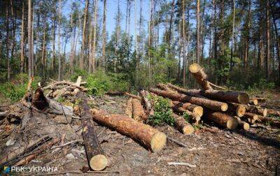 В Україні спростили закупівлю дров перед опалювальним сезоном - rbc.ua - Україна - місто Запуск