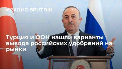 Владимир Путин - Мевлют Чавушоглу - Глава МИД Турции Чавушоглу: есть варианты наладить поставку российских удобрений на рынок - smartmoney.one - Москва - Россия - Украина - Турция - Лос-Анджелес