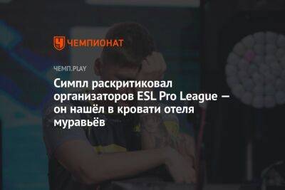 Симпл раскритиковал организаторов ESL Pro League — он нашёл в кровати отеля муравьёв - championat.com - Мальта