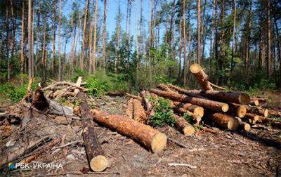 В Україні спростили закупівлю дров перед опалювальним сезоном - bin.ua - Украина - Україна - місто Запуск