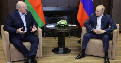 Владимир Путин - Александр Лукашенко - Валерий Залужный - "Уехали и пусть бегут": Лукашенко поддержал Путина в призыве россиян на войну (видео) - focus.ua - Россия - Украина - Белоруссия