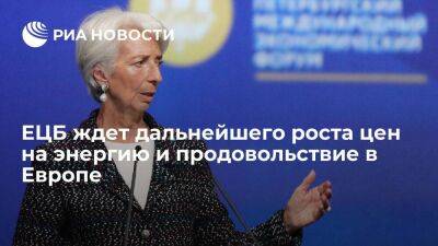 Кристин Лагард - Глава ЕЦБ Лагард: ситуация с ценами на энергию и продовольствие в Европе будет ухудшаться - smartmoney.one - Россия - Украина
