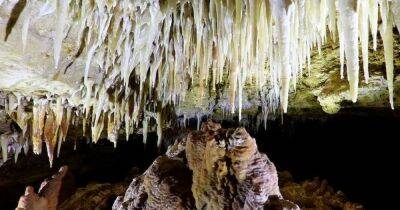 Тайны Наракортских пещер в Австралии: на 500 000 лет старше и хранят спрятанные "сокровища" - focus.ua - Украина - Австралия - Мельбурн - Кейптаун