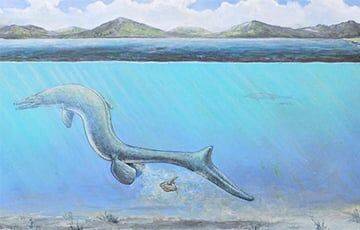 В США нашли новый вид морского динозавра - charter97.org - США - Белоруссия