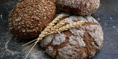 Какой хлеб должен быть в вашем рационе? Вы зря считаете его врагом вашей диеты - nv.ua - Украина