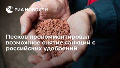 Дмитрий Песков - Пресс-секретарь Песков: логика продуктовой сделки требует снять санкции с удобрений - smartmoney.one - Москва - Россия - Украина - Стамбул
