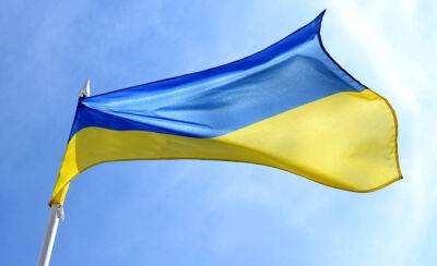 Эстонца за поджог украинского флага приговорили к условному сроку - obzor.lt - Украина - Эстония - Таллин