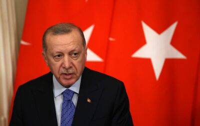 "Війна має закінчитися у Стамбулі": що потрібно Ердогану як посереднику між Україною та РФ - rbc.ua - Турция - Україна - Росія - місто Анкара