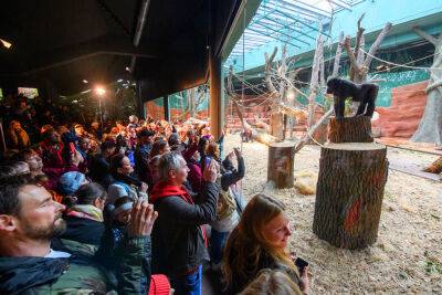 Зденек Гржиб - Ян Липавский - В Пражском зоопарке торжественно открыли новый павильон горилл - vinegret.cz - Чехия - Камерун - Прага