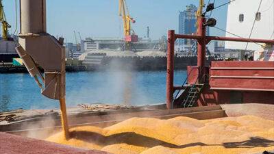 Із одеських портів вийшло ще 3 судна з українською аграрною продукцією для Африки та Азії - bin.ua - Украина - місто Одеса