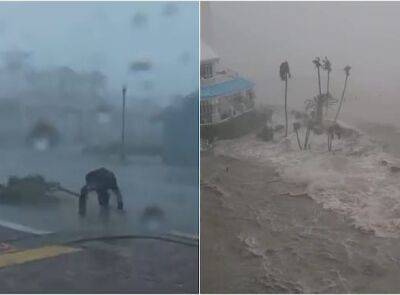 Ураган "Иэн" обрушился на Флориду: на затопленной улице заметили акулу - unn.com.ua - США - Украина - Киев - шт.Флорида