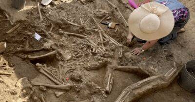 В Словакии нашли братскую могилу обезглавленных тел из каменного века (фото) - focus.ua - Украина - Словакия