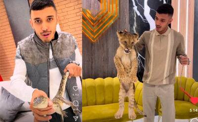 В Ташкенте оштрафовали блогера, использовавшего для рекламы магазина одежды львенка и крокодила - podrobno.uz - Узбекистан - Ташкент