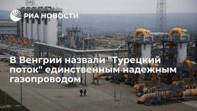 Петер Сийярто - Глава МИД Венгрии Сийярто: "Турецкий поток" сейчас единственный надежный газопровод - smartmoney.one - Россия - Турция - Венгрия - Болгария - Сербия - Белград