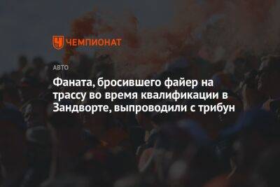 Максим Ферстаппен - Александер Албон - Фаната, бросившего файер на трассу во время квалификации в Зандворте, выпроводили с трибун - championat.com - Голландия