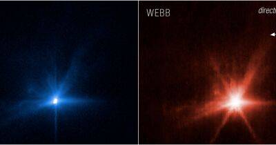 Джеймс Уэбб - Защита Земли в действии. Космические телескопы показали, как аппарат DART врезался в астероид (фото) - focus.ua - Украина