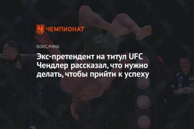 Тони Фергюсон - Майкл Чендлер - Экс-претендент на титул UFC Чендлер рассказал, что нужно делать, чтобы прийти к успеху - championat.com