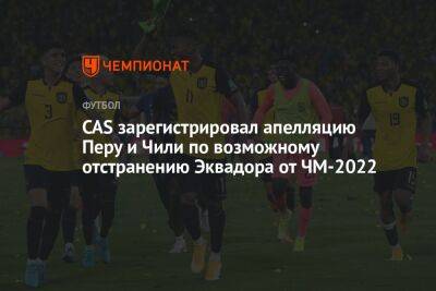 CAS зарегистрировал апелляцию Перу и Чили по возможному отстранению Эквадора от ЧМ-2022 - championat.com - Голландия - Эквадор - Катар - Чили - Сенегал