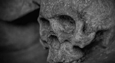 Череп людини прямоходячої віком близько мільйона років виявили в Китаї - lenta.ua - Украина - Перу