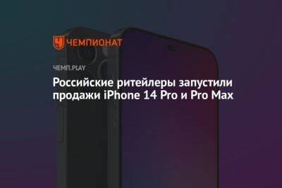 Российские ритейлеры запустили продажи iPhone 14 Pro и Pro Max - championat.com