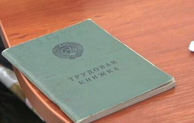 Влетят в немалую копеечку: украинцам рассказали, как включить годы учебы в трудовой стаж - ukrainianwall.com - Украина