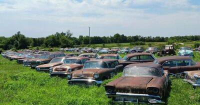 Необычную коллекцию из 165 ретро-авто распродадут задешево (фото) - focus.ua - США - Украина - Бельгия - штат Миссури