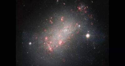 Большая оригиналка. Телескоп Хаббл сделал снимки галактики очень странной формы (фото) - focus.ua - Украина