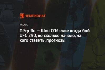 Генри Сехудо - Шон Омэлли - Пётр Ян — Шон О'Мэлли: когда бой UFC 290, во сколько начало, на кого ставить, прогнозы - championat.com - Россия - США - Абу-Даби