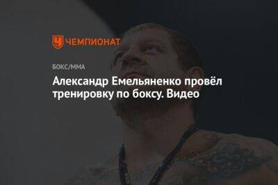 Александр Емельяненко - Джефф Монсон - Вячеслав Дацик - Александр Емельяненко провёл тренировку по боксу. Видео - championat.com - США