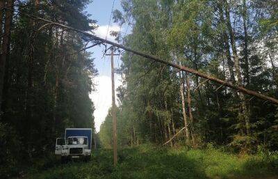 Тверьэнерго вдвое сократило частоту и длительность перерывов в электроснабжении потребителей - afanasy.biz - Тверская обл.