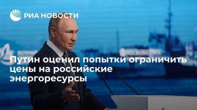 Владимир Путин - Президент Путин назвал попытки ограничения цен на российские энергоресурсы бредом и чушью - smartmoney.one - Россия - Владивосток