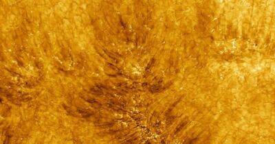 Потрясающие новые изображения показывают Солнце таким, каким мы его раньше не видели (фото) - focus.ua - Украина - штат Гавайи