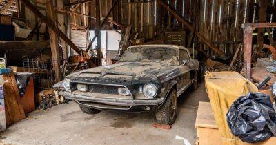 Ford - Очень редкий и дорогой Ford Mustang 30 лет простоял заброшенным в старом сарае (фото) - focus.ua - Украина - Киев - шт. Калифорния