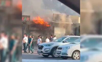 В ташкентском ресторане Brasserie произошел пожар. Видео - podrobno.uz - Узбекистан - Ташкент - район Мирабадский