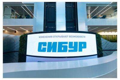 Компания "Сибур" прорабатывает возможность расчетов с Вьетнамом в вонах - smartmoney.one - Россия - Вьетнам - Владивосток
