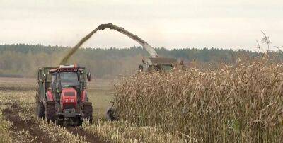 В Беларуси ожидают рекордный урожай в 10,5-11 миллионов тонн зерновых и зернобобовых - grodnonews.by - Белоруссия - Слуцк