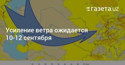 Усиление ветра ожидается 10−12 сентября - gazeta.uz - Узбекистан