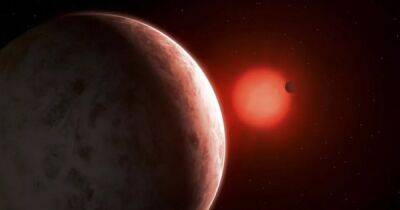 Астрономы обнаружили две новые супер-Земли возле очень холодной звезды: чем они уникальны - focus.ua - Украина - Чили