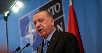 Реджеп Тайип Эрдоган - Реджеп Эрдоган - Тайип Эрдоган - Никос Дендиас - "Получите еще одну Украину": Греция призывает ЕС и НАТО разобраться с Эрдоганом, — Politico - focus.ua - Украина - Турция - Анкара - Греция