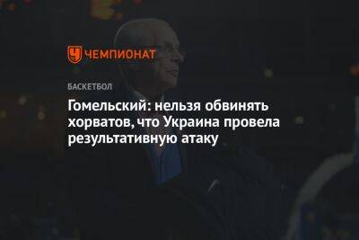 Владимир Гомельский - Илья Никульников - Гомельский: нельзя обвинять хорватов, что Украина провела результативную атаку - championat.com - Украина - Хорватия