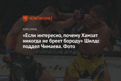Дана Уайт - Кевин Холланд - Хамзат Чимаев - Нейтом Диазый - «Если интересно, почему Хамзат никогда не бреет бороду» Шилдс поддел Чимаева. Фото - championat.com